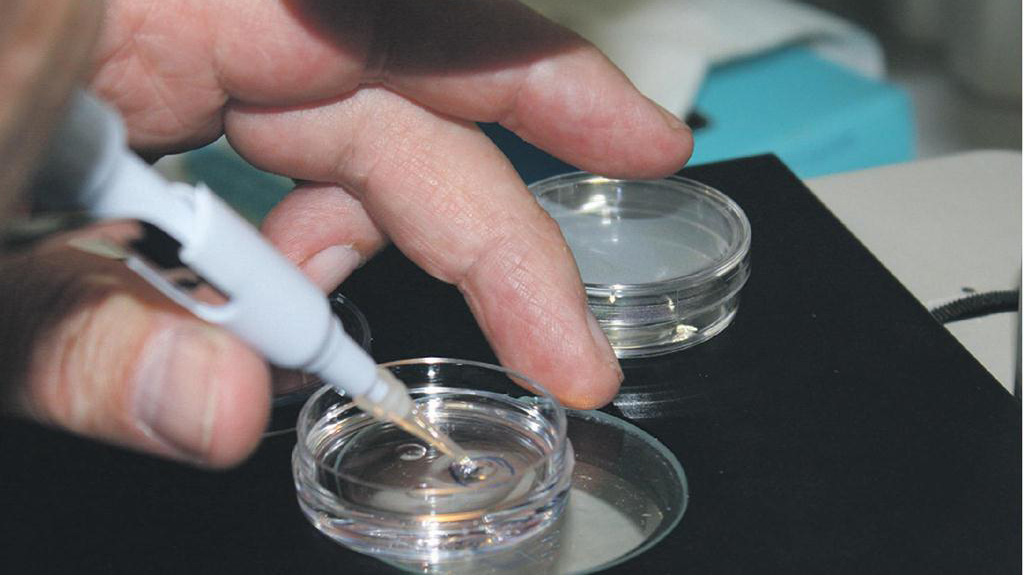 in vitro fertilization
