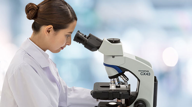 laboratory microscope